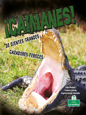 cover image of ¡Caimanes! De dientes grandes. Cazadores feroces